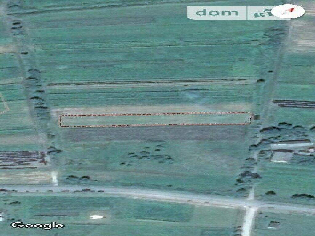 Продажа земельного участка сельскохозяйственного назначения в Пустомытах, площадь 32 сотки
