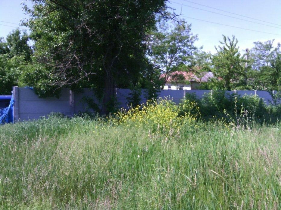 Ділянка під забудову- Черкаська обл. Жашківський р-н, село Сабадаш