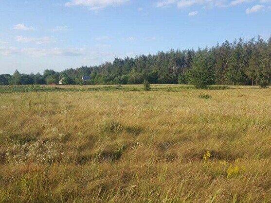 Земельна ділянка під забудову