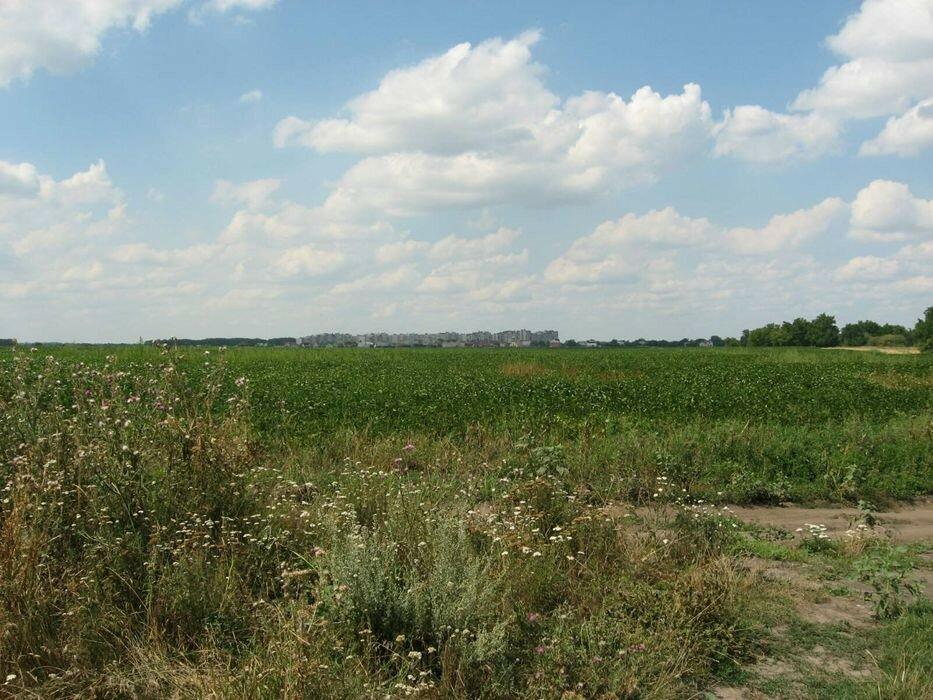 Продаю земельну ділянку в селі Шкарівка