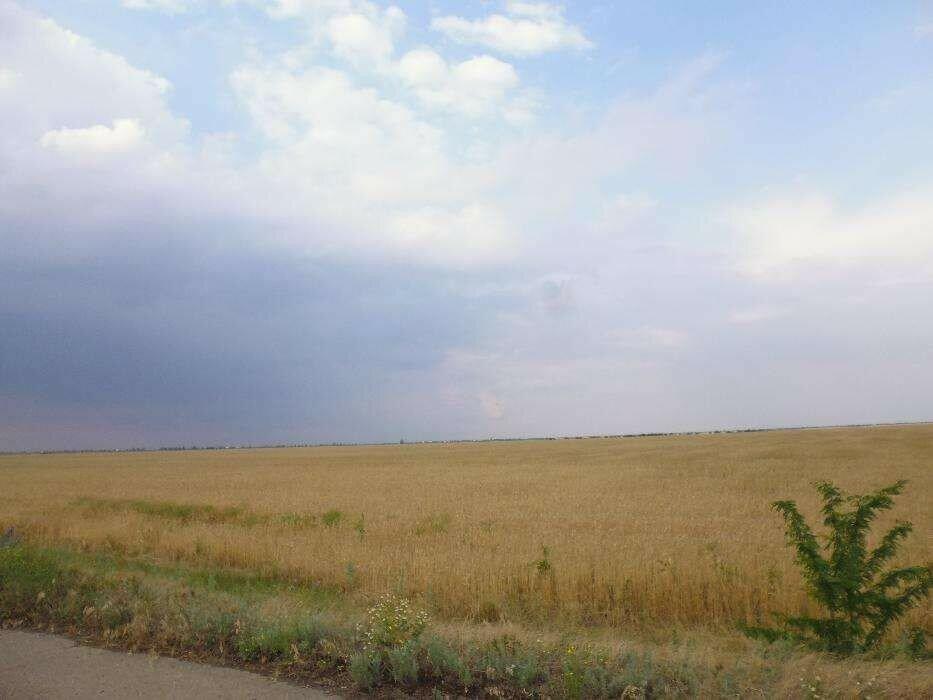 Продам 2 га чернозёма в Херсонской области, Нижнесерогозский район.