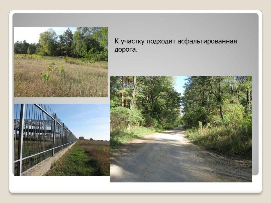Земля для коммерческого строительства 1 га, Гора, Борисполь.
