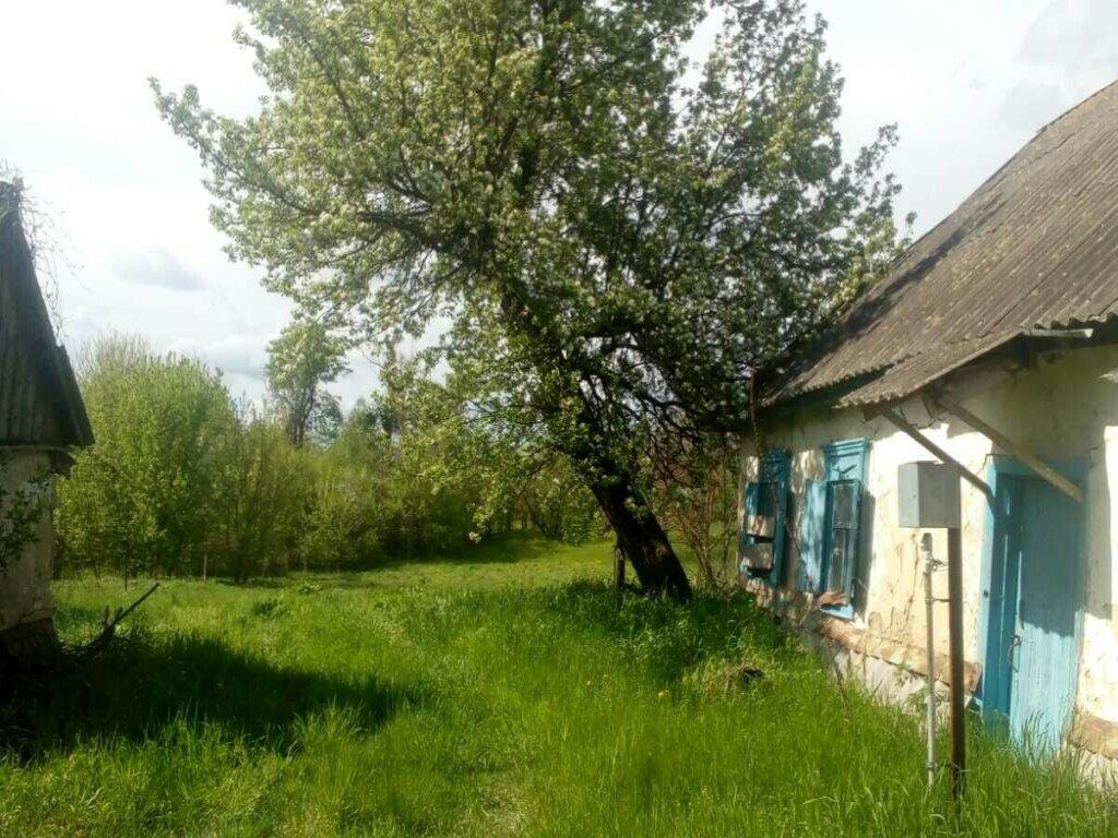 Продается земельный участок с домом в Прохоровке