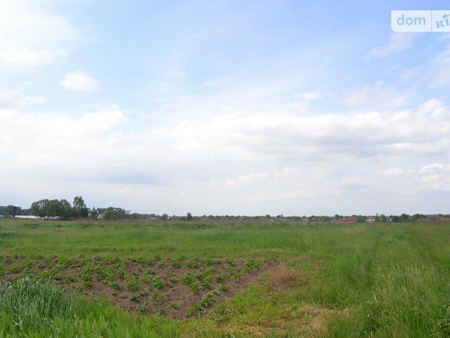 Продажа земельного участка под жилую застройку в Глебовка