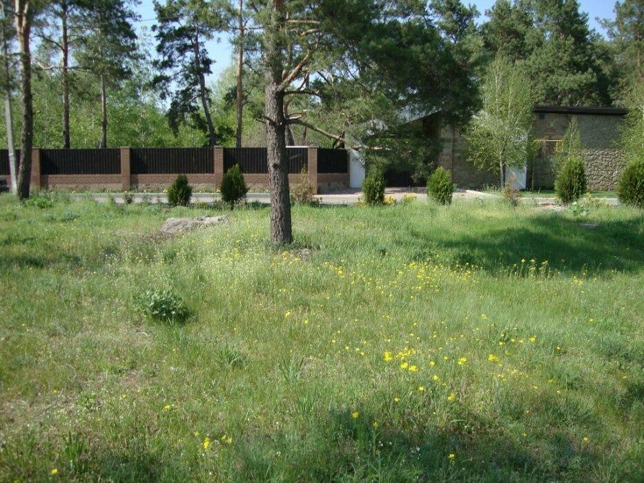 Земельный участок в селе Песчанка, Днепропетровская область