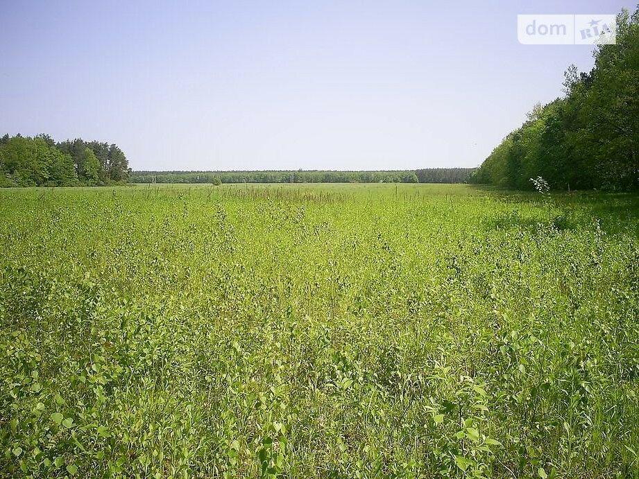 Продажа земельного участка сельскохозяйственного назначения в Фастове