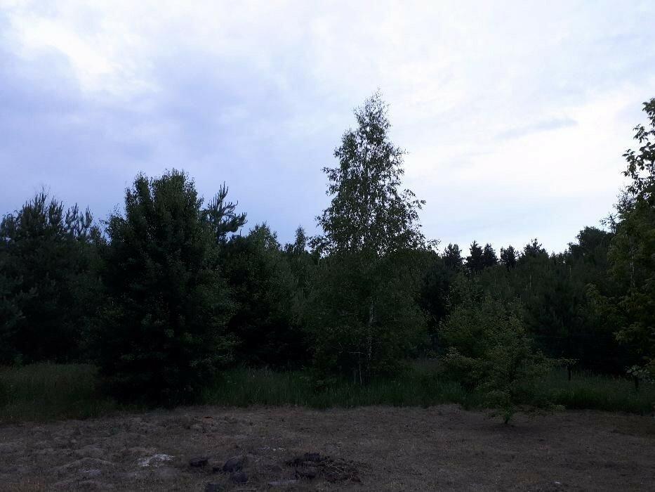 Іванковичі 40сот в лісі( царське село)