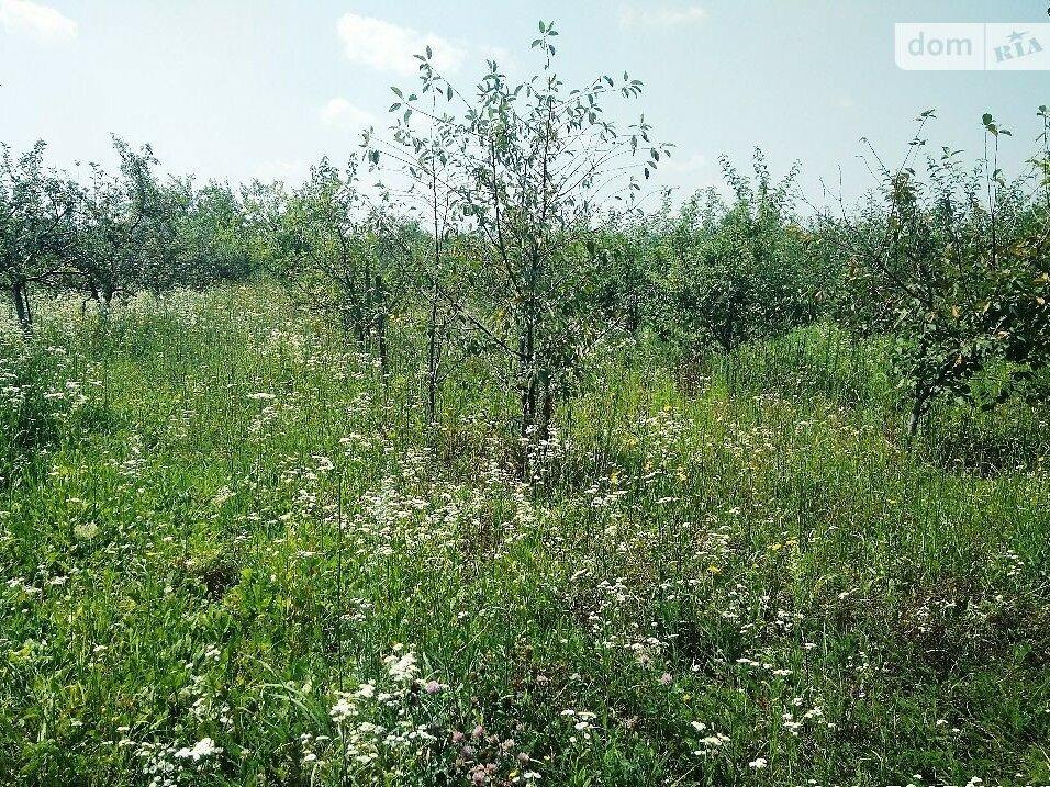 Продажа земельного участка под жилую застройку в селе Лукашовка