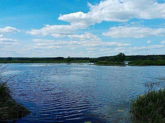 Кийлов, участок с выходом на речку Павловку