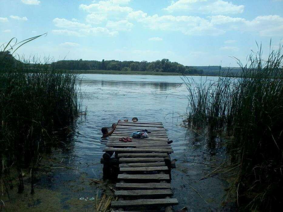 Участок на берегу Краснооскольского водохранилища в с. Сенькове