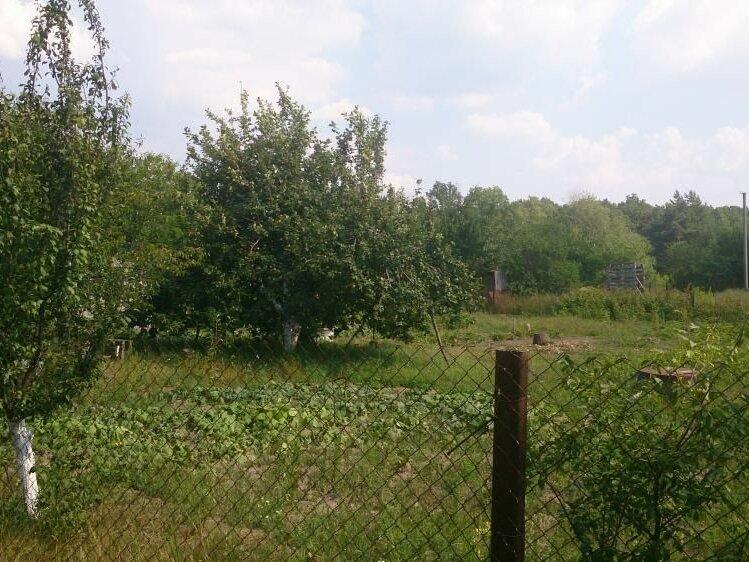 Дачный участок возле Петровки. 15 км от Полтавы. Речка рядом. Лес.