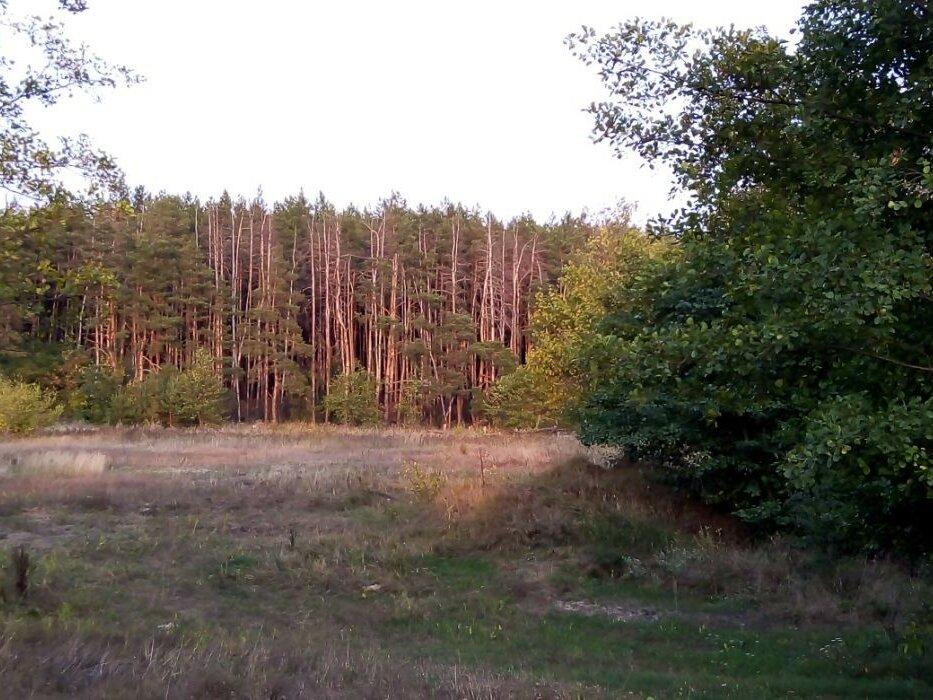 Земельный участок (Прохоровка) рядом река и лес