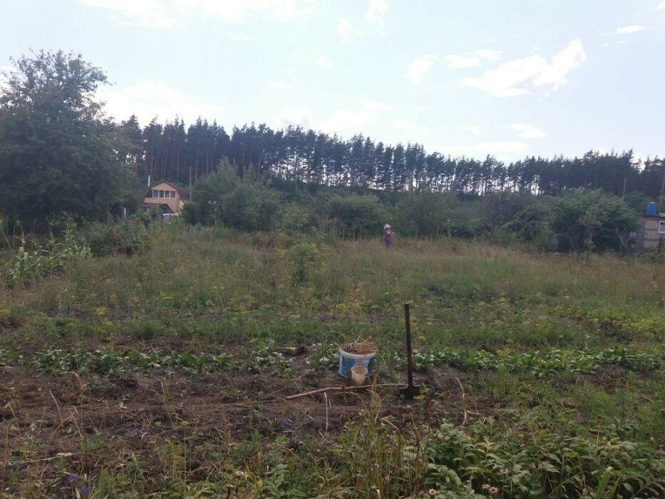 Продажа земельного участка в посёлке Васищево 6 соток
