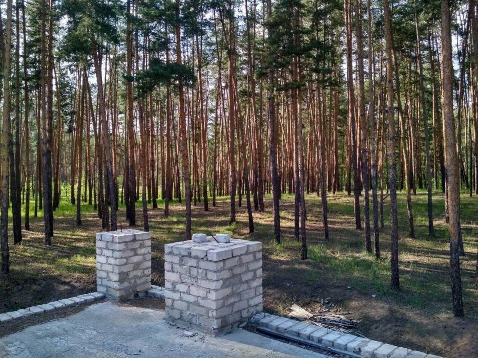 Продам участок в центре леса (заповедная зона) г. Кременная
