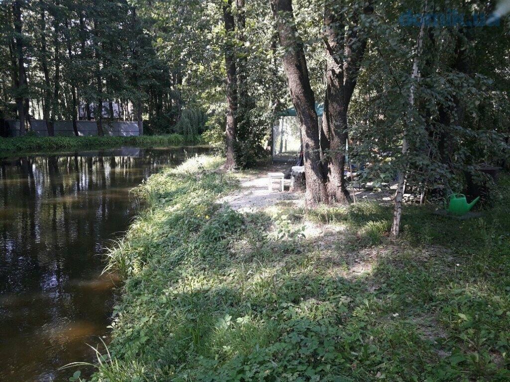 Участок в лесу со своим озером Здоровка Васильков