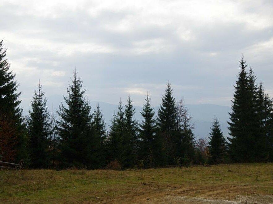 Земельна ділянка, участок Яблуницький перевал, Буковель 8 км