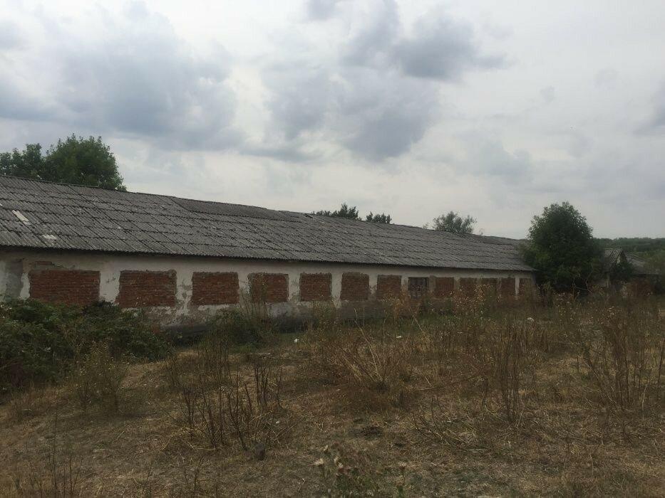 Продам земельну ділянку 4.8 га в селі Богаревиця.