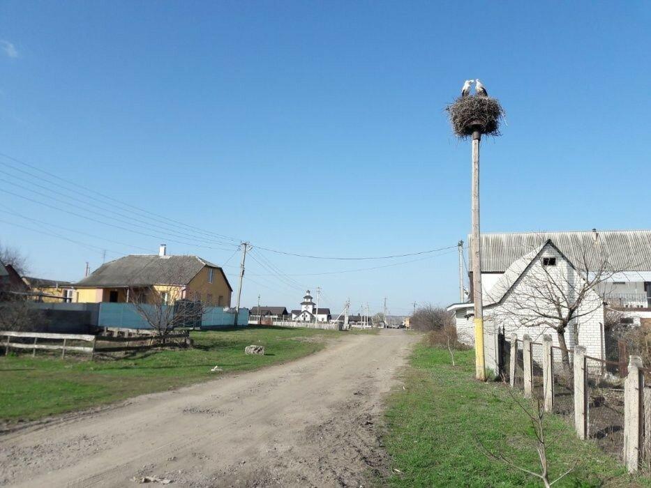 Продаю свободный земельный участок под застройку в Русских Тишках