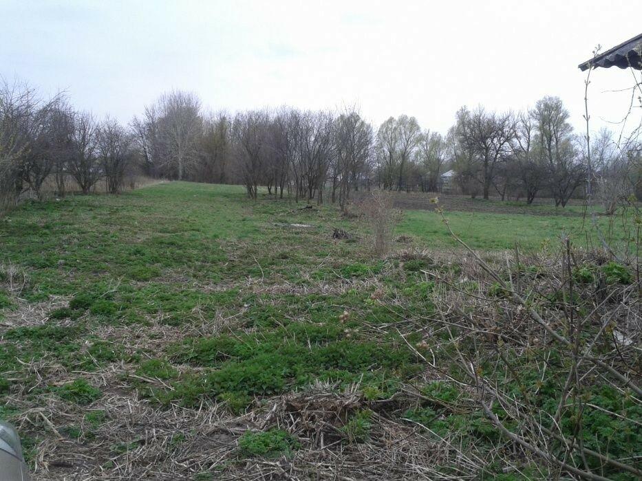 Продается приусадебный земельный участок с домом в селе Петровка.
