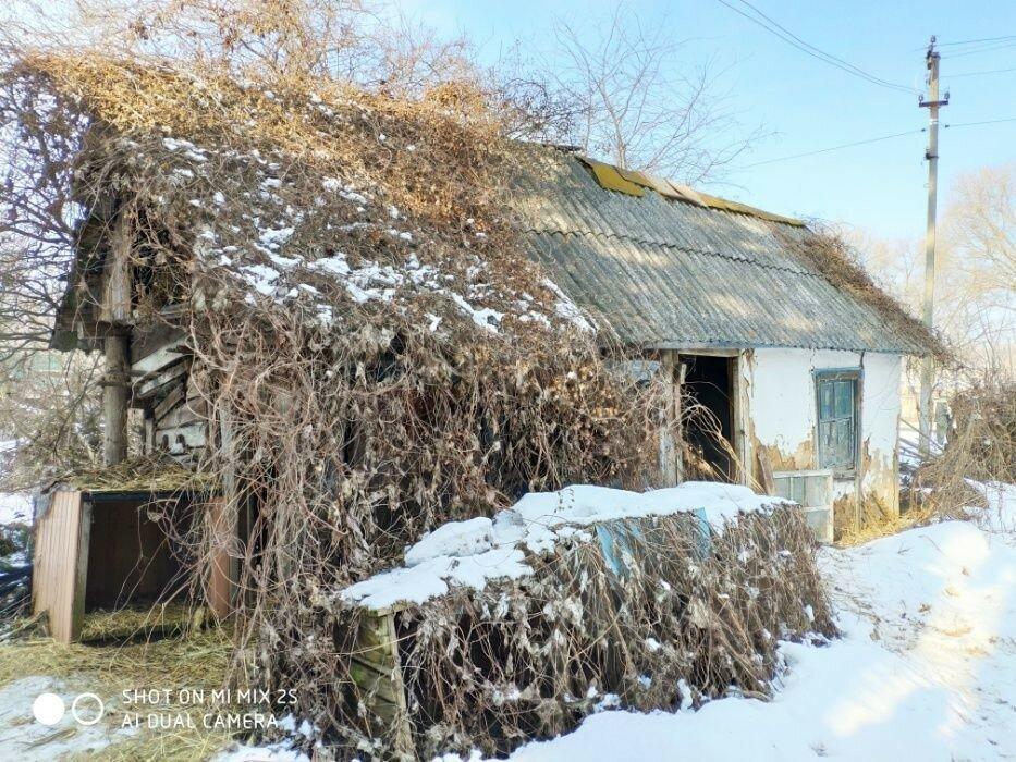 Продам дом с участком 55 соток. Макаровський р-н 65 км от Киева