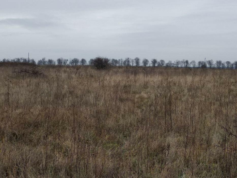 Продам земельну ділянку під забудову недалеко від міста Солонка-Нагоря