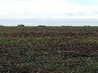 Продажа земельного участка под жилую застройку в селе Шелюги, Запорожской области, Речная, площадь 25 соток