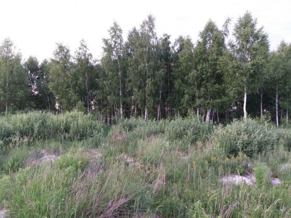 Продаж земельної ділянки в СТ "Озерце"