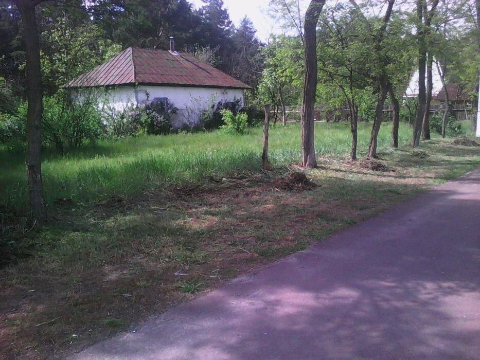 Продажа земельного участка, Процев, Бориспольский район