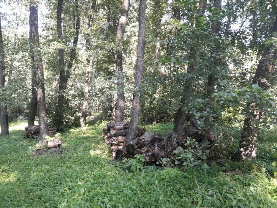 Участок в лесу со своим озером Здоровка Васильков