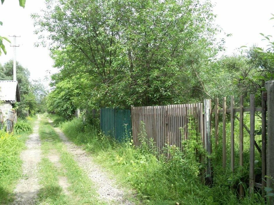 Свой дачный участок в живописном месте (березовая роща) 18 км от Киева