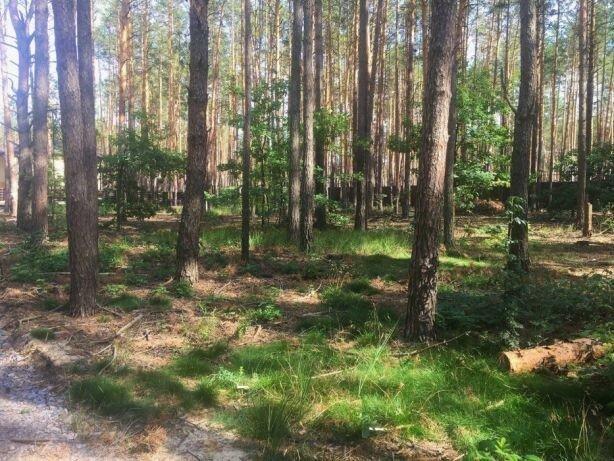 Земля в лесной Буче от 7,5 соток под строительство частных коттеджей