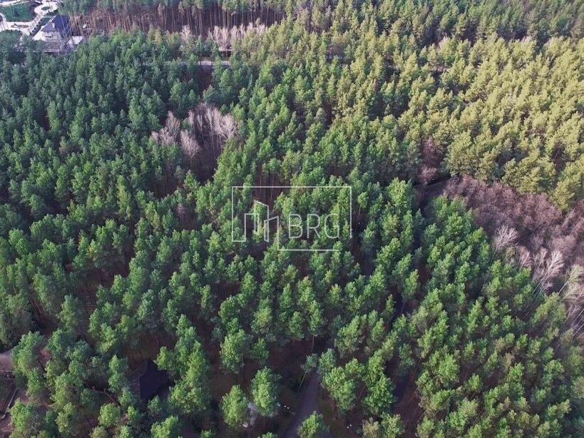 Продажа участка в сосновом лесу Хлепча(Здоровка) без комиссии