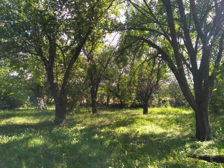 Продам земельный участок в селе Соколовщина