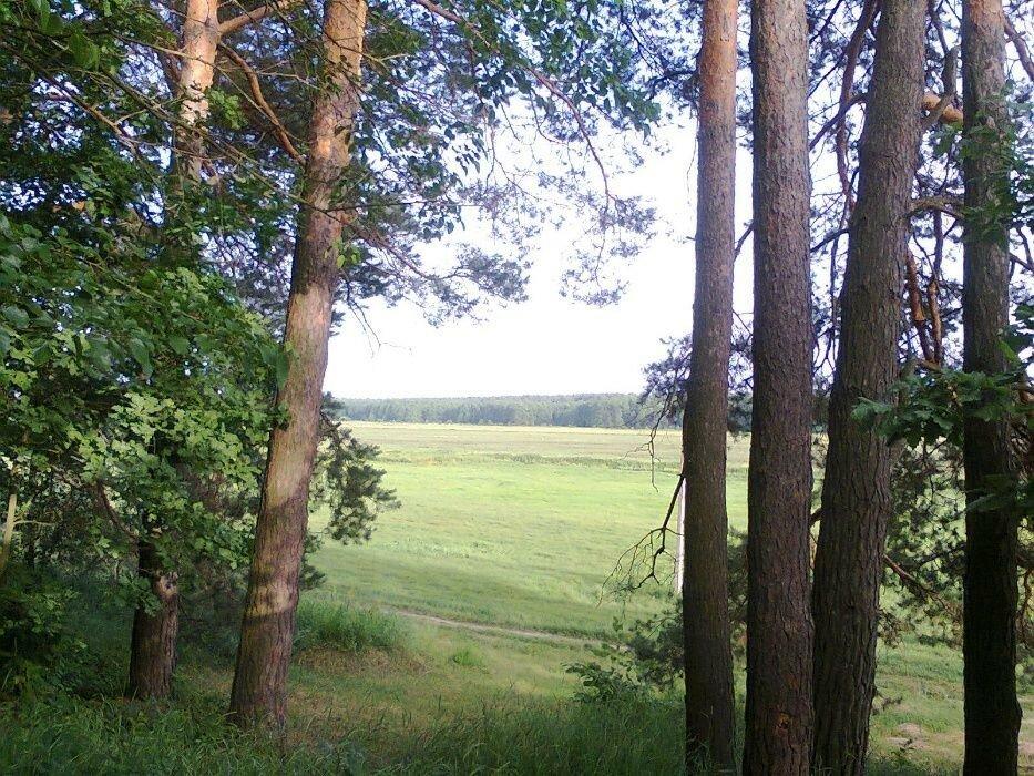 Продам землю в с.Черногородка (30 км от Киева)
