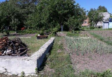 Продам участок с садом недалеко от Старого Салтова
