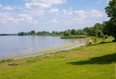 Продам земельну ділянку біля озера Домашнє с. Кримне