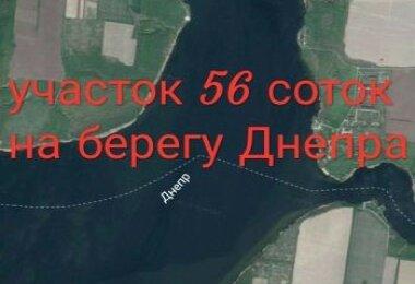Участок 56 соток на прямо на берегу Днепра Петро Свистуново...