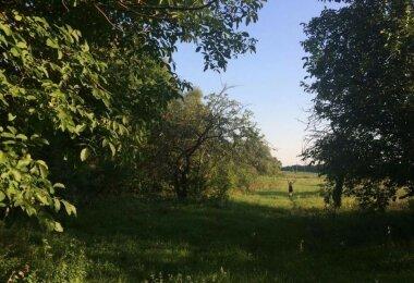 ТЕРМІНОВО: Продам будинок і землю навколо, 120 км від Києва