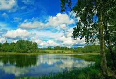 Земельна ділянка 0.14 га. на березі озера Грущів, Завадівськ...