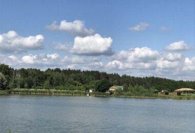 Продам землю с озером (3га и 5,5га) Барышевский р-н