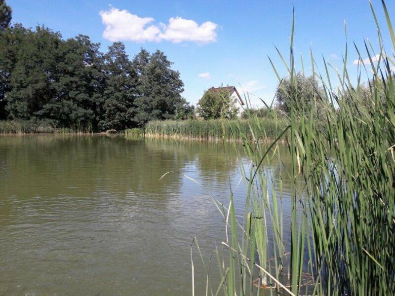 Участок в Немешаево возле озера