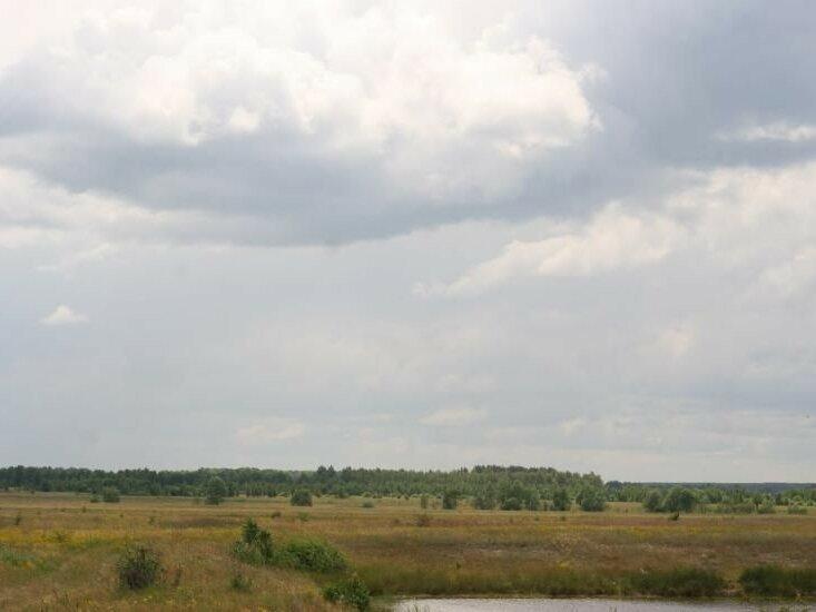 Земельный участок 60 км от Киева
