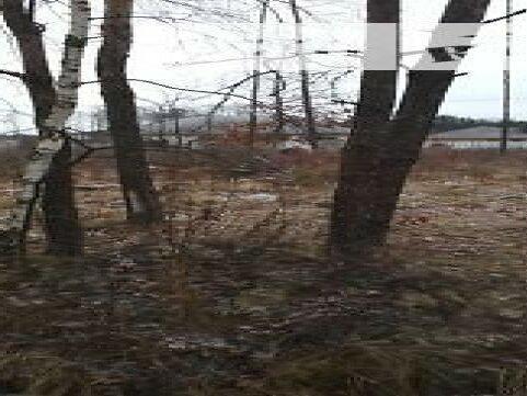 Продажа земельного участка под жилую застройку в селе Довжик, Житомирской области, Озерная улица, площадь 10 соток