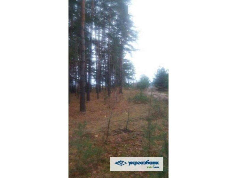Продажа земельного участка под жилую застройку в селе Ковалевка, Полтавской области, новая, площадь 25 соток