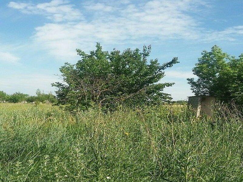 Продажа земельного участка под жилую застройку в селе Песчанка, Днепропетровской области, Украинская, площадь 36 соток