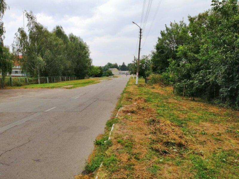 Продам земельный участок в пгт Згуровка Киевской обл.