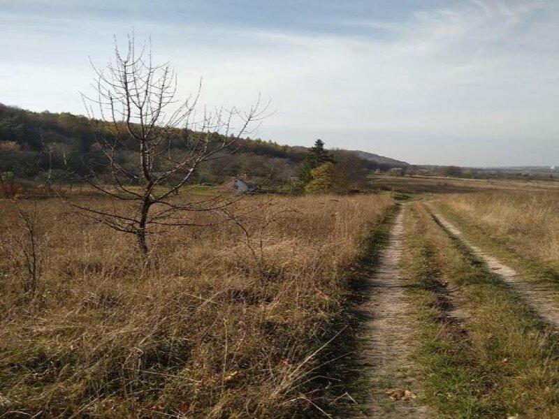 Продам земельну ділянку 37 соток в с. Кобилеччина, Золочівського р.
