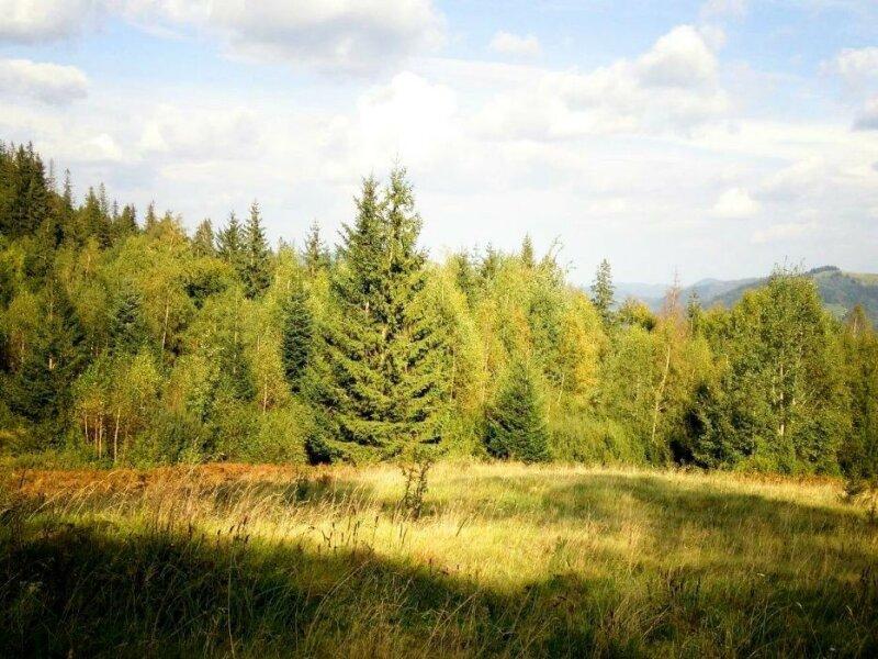 Продам землю в Карпатских горах 362 сотки