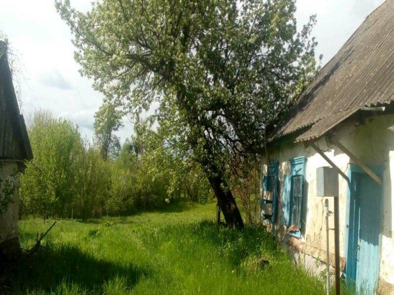 Продается земельный участок с домом в Прохоровке
