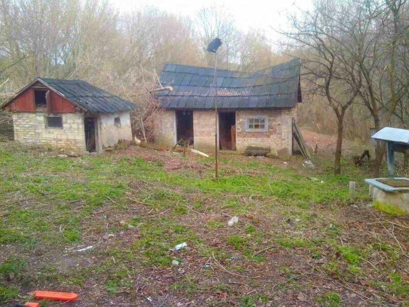 Продам земельный участок с домом с. Пии, Киевская обл. 80 км от Киева.
